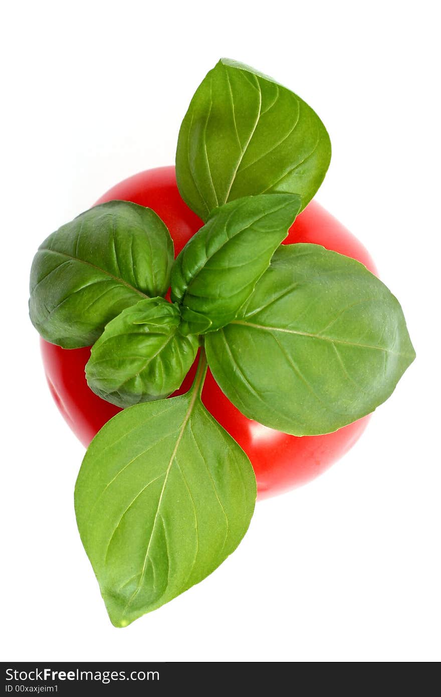 Fresh basil and tomato isolated on white background