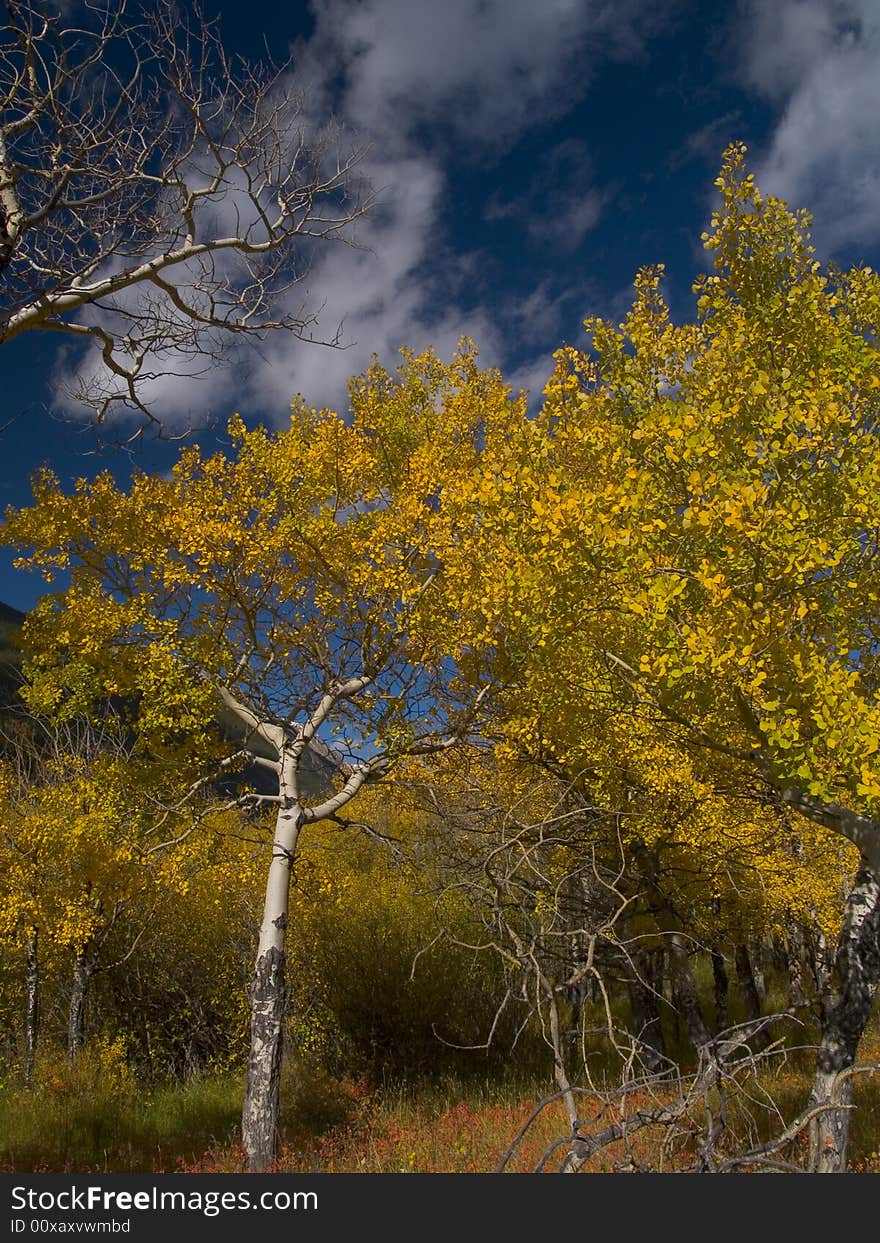 Near the Endovalley area of Rocky Mountain National Park. Near the Endovalley area of Rocky Mountain National Park