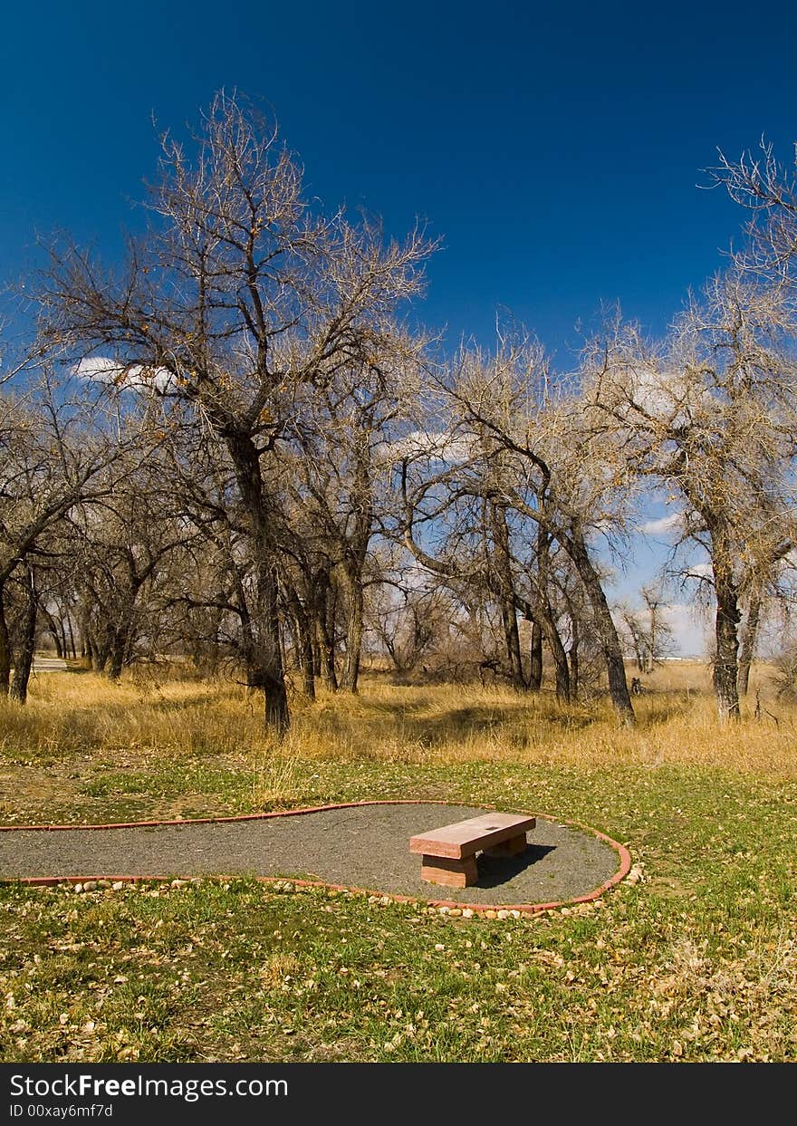 Bench in March