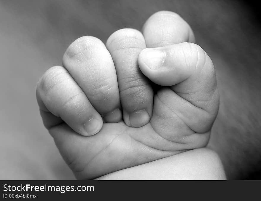 A view with a newborn fist. A view with a newborn fist