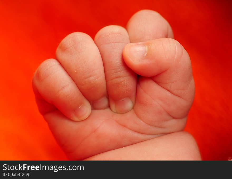 A view with a newborn fist. A view with a newborn fist