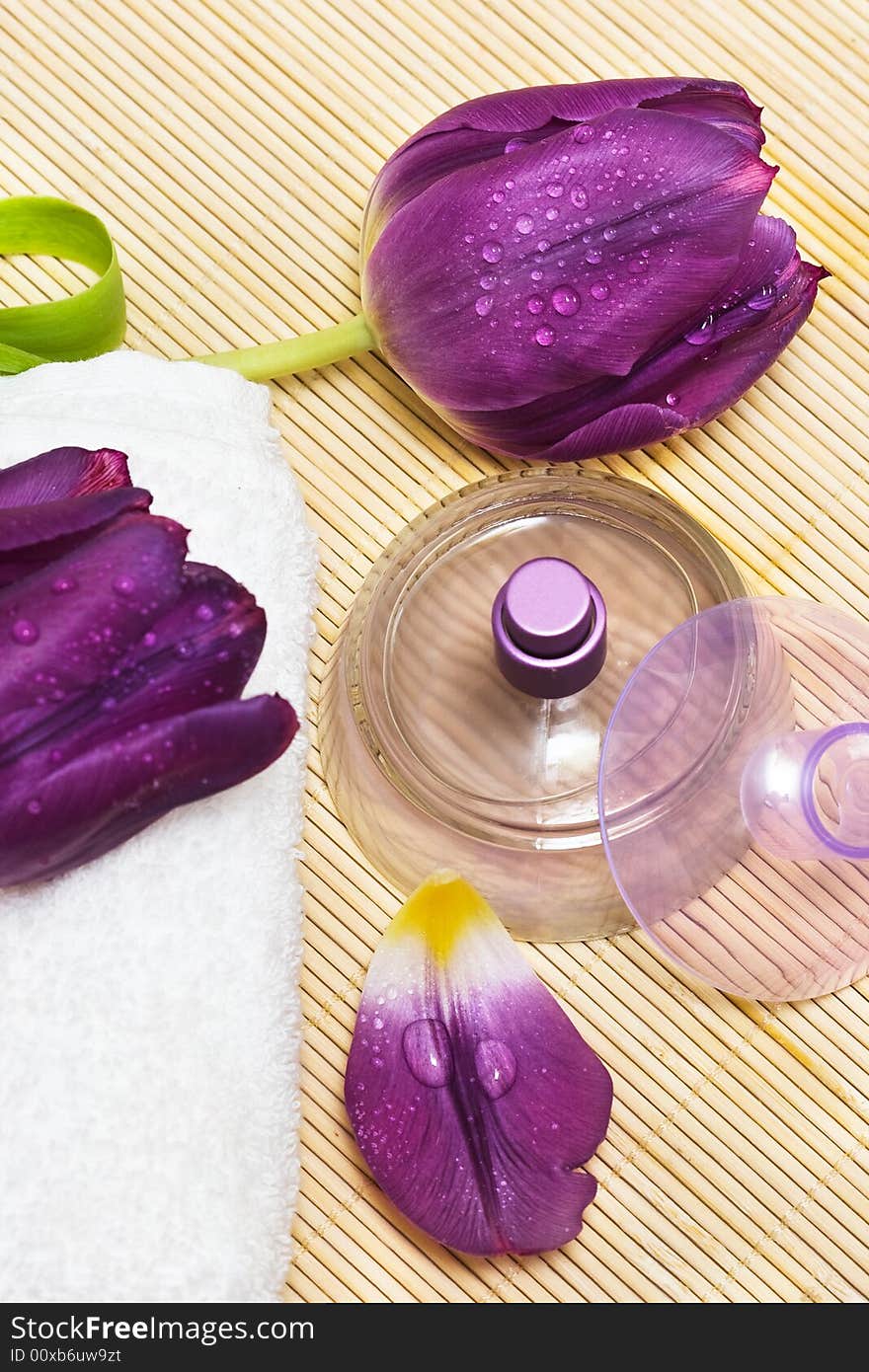 Bottle with perfume and violet tulips