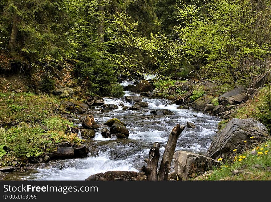 Mountain river in the forest of mountains with a waterfall