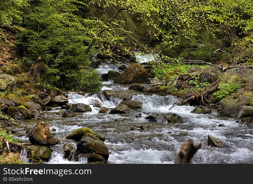 Mountain river in the forest of mountains with a waterfall