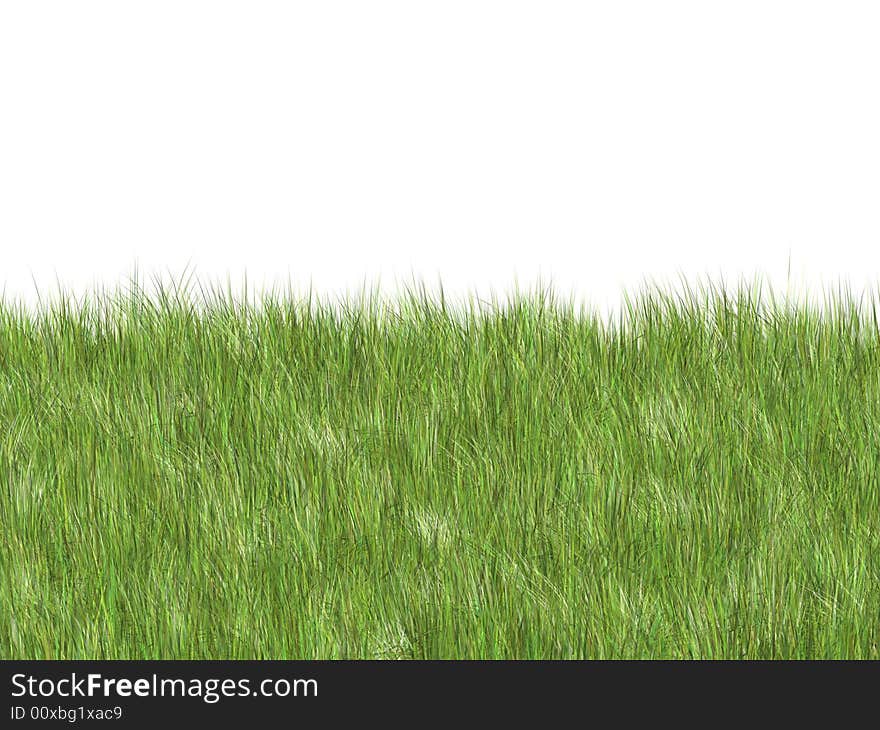 Soft 3d grass over white. Soft 3d grass over white