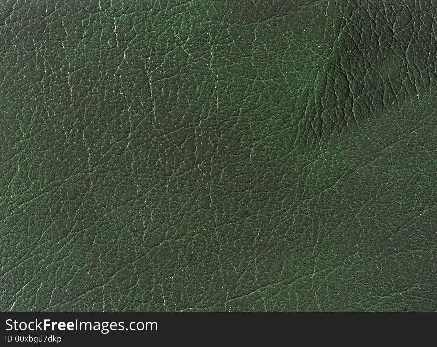 Natural qualitative green leather texture. Close up. Natural qualitative green leather texture. Close up.