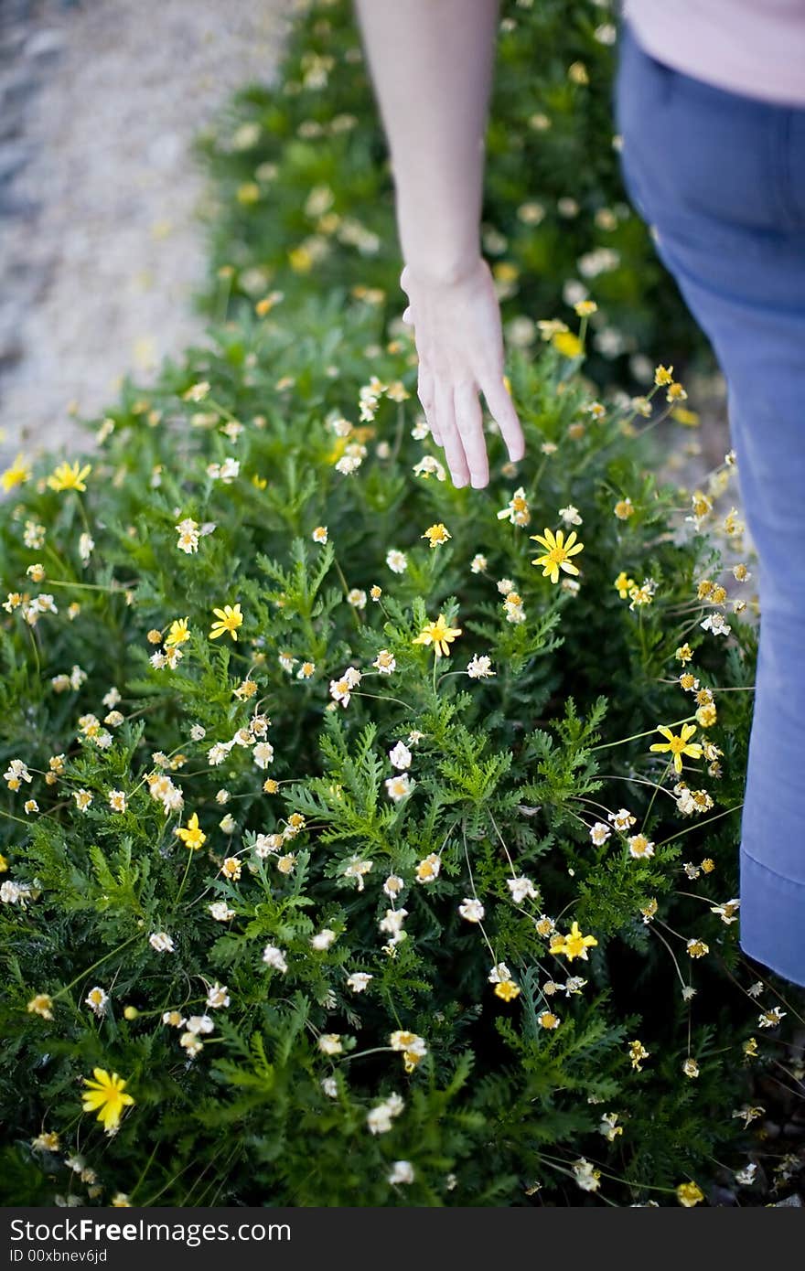 Woman touching plant