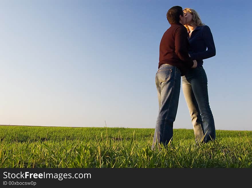 The guy and the girl kiss in a spring field. The guy and the girl kiss in a spring field