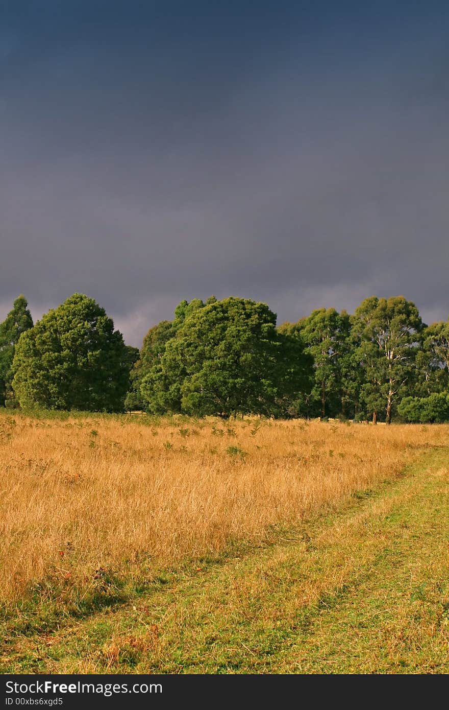 Rural autumn landscape with yellow grass and strange dark sky. Rural autumn landscape with yellow grass and strange dark sky