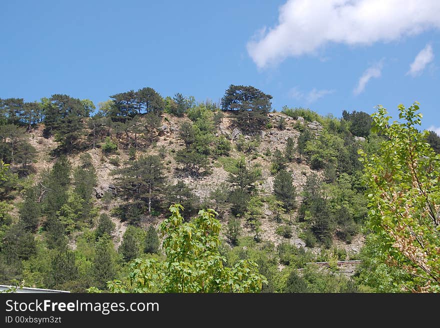 Wood on a mountain slope in the solar afternoon. Wood on a mountain slope in the solar afternoon