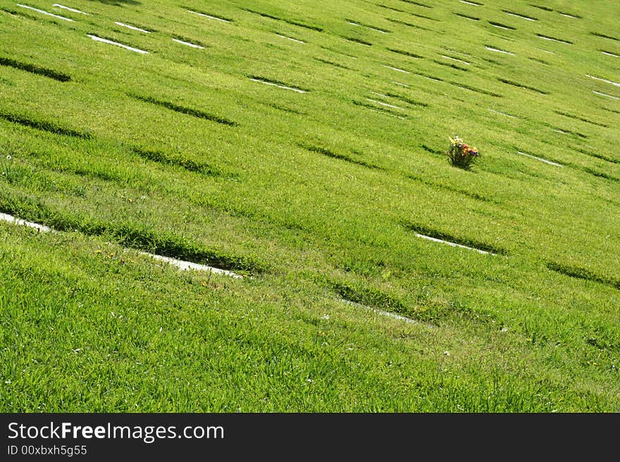 Cemetery lawn