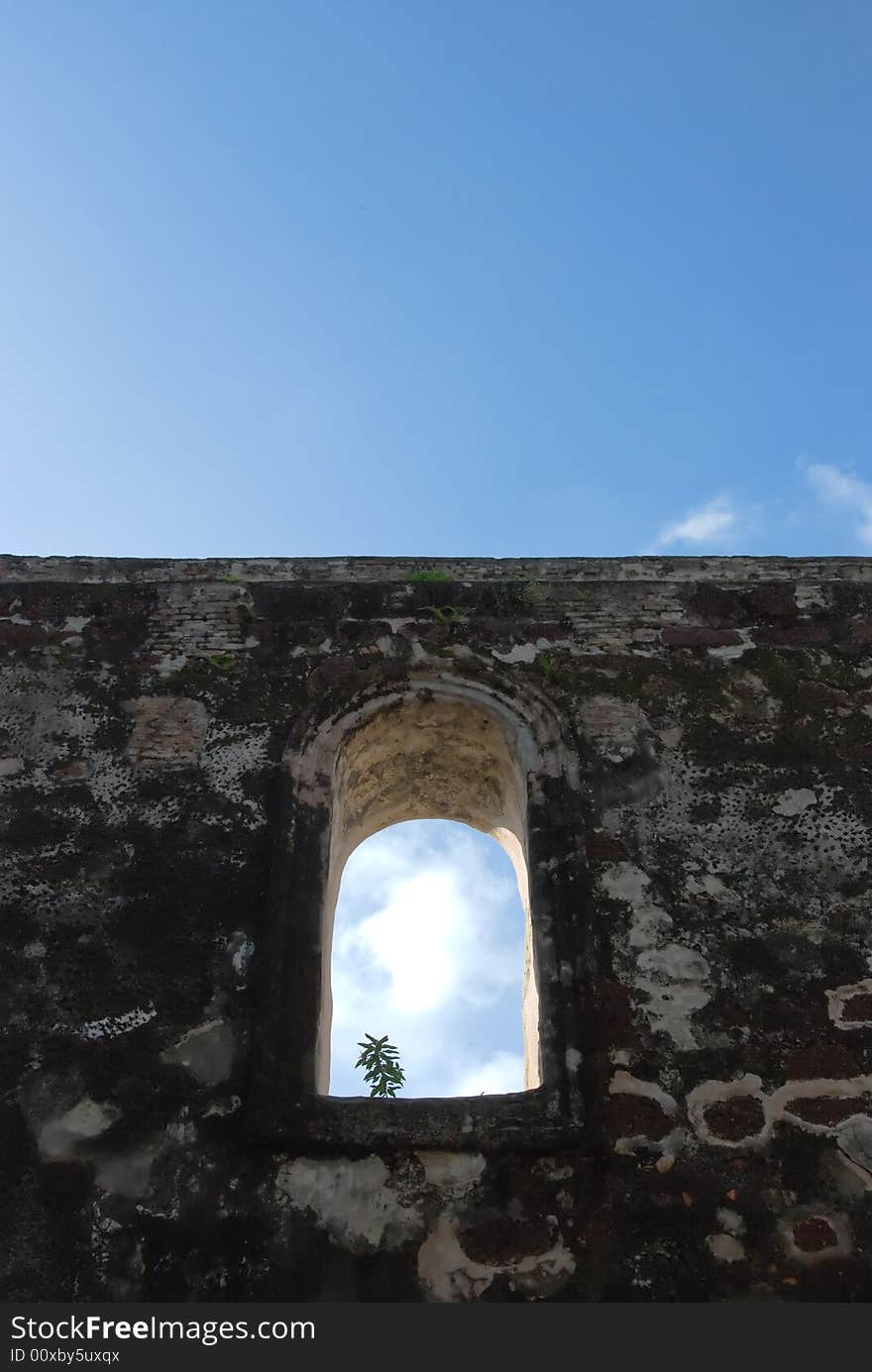 Castle wall with window and plant