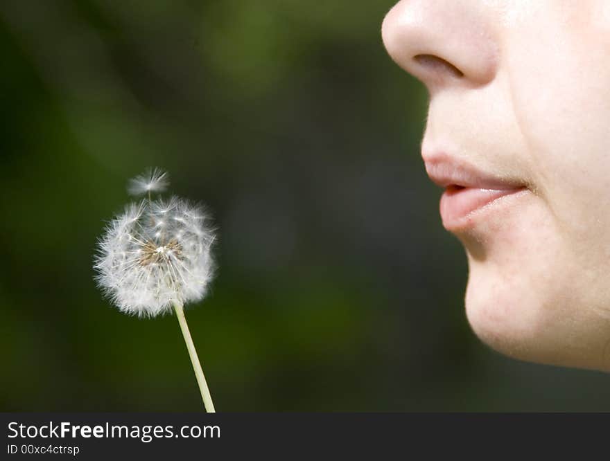 Girl blowing dandelion with green background