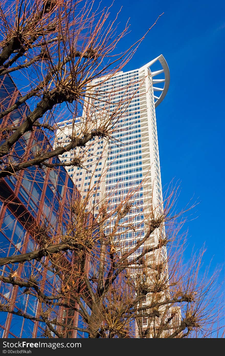 Trees before a building of bank. Trees before a building of bank