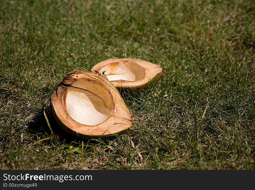 Empty coconut