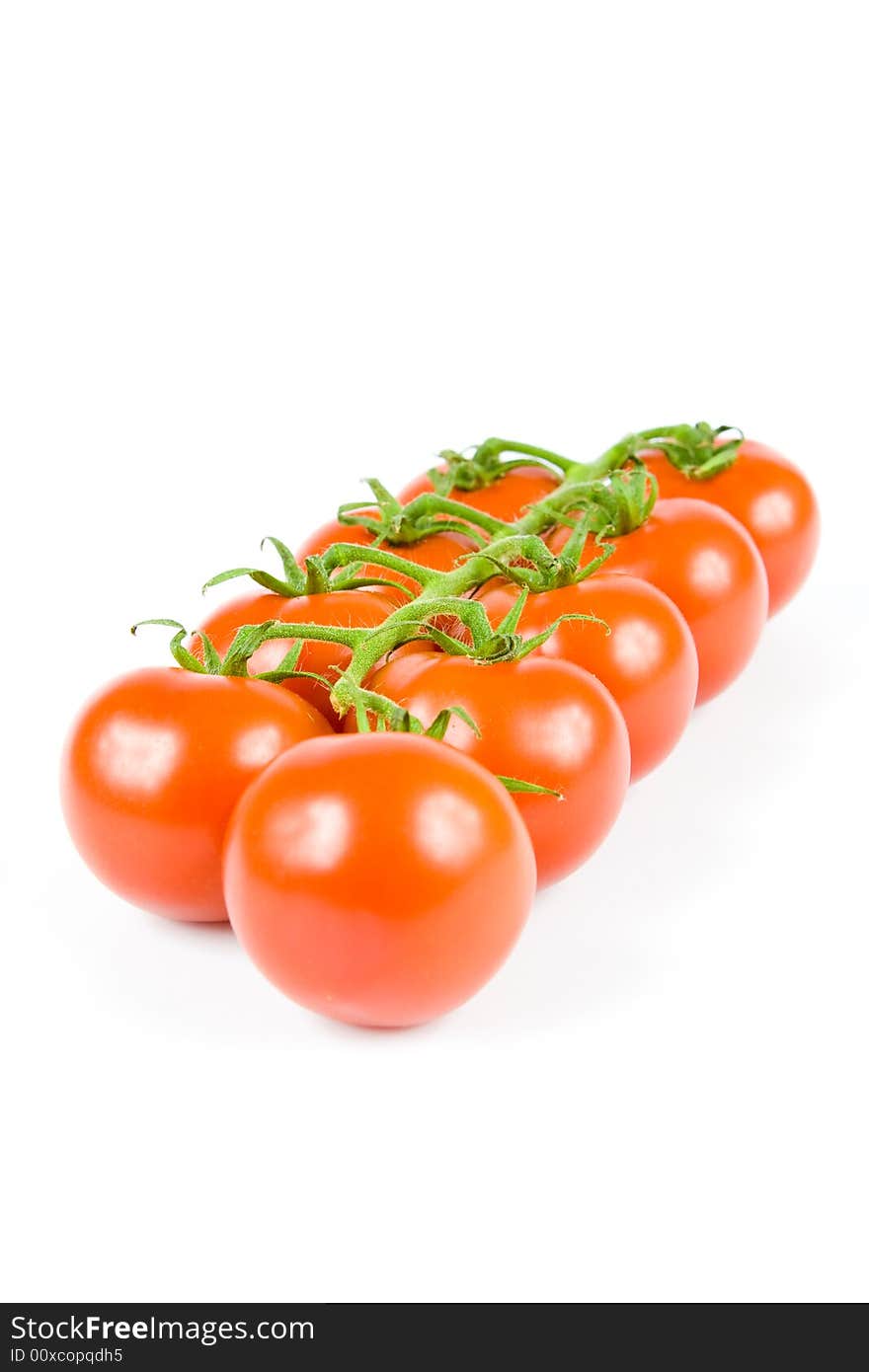 Tomato