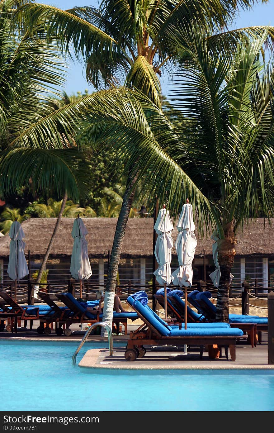 This is the picture of water-pool, waiting chairs with the palm-trees of the tropical seaside resort (hotel). . This is the picture of water-pool, waiting chairs with the palm-trees of the tropical seaside resort (hotel).