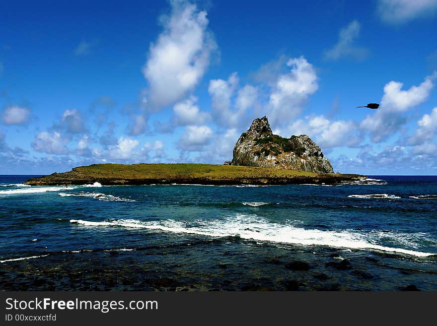 Bird Island