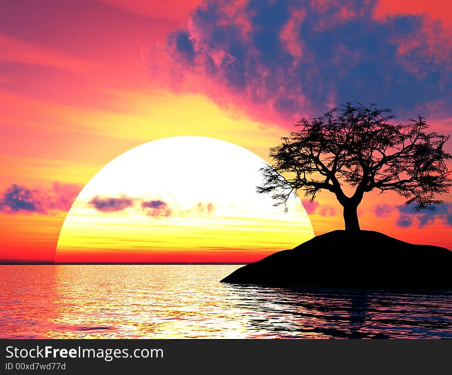 Sunset_Tree_Holm