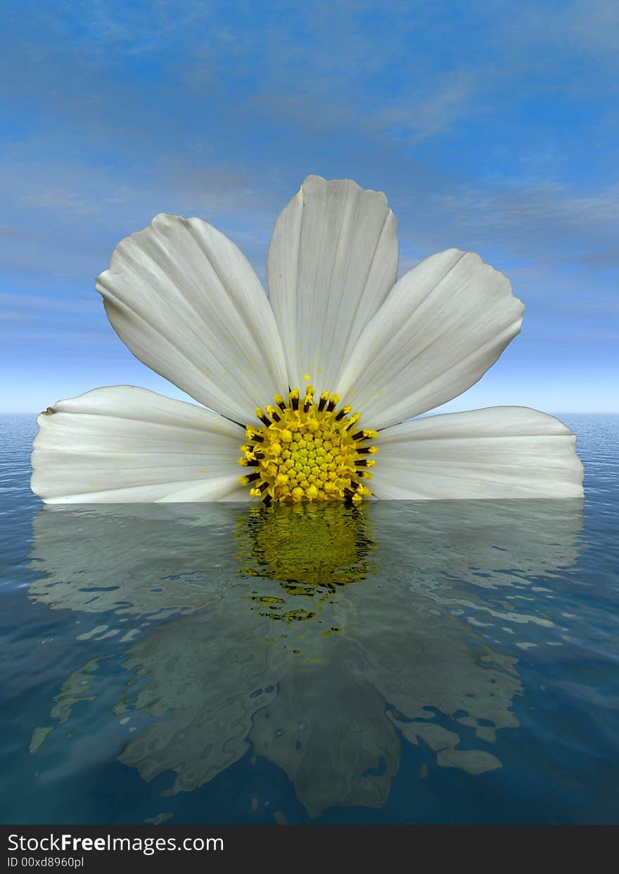 Beautiful flower with reflection on water - digital artwork.