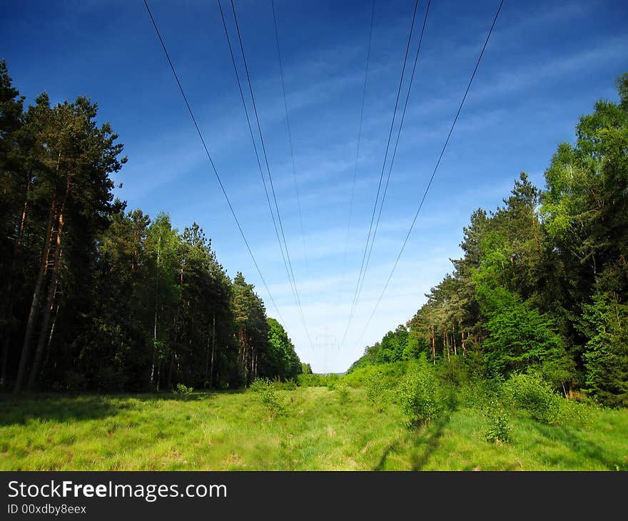 Photo of line of high tension in forest. Photo of line of high tension in forest