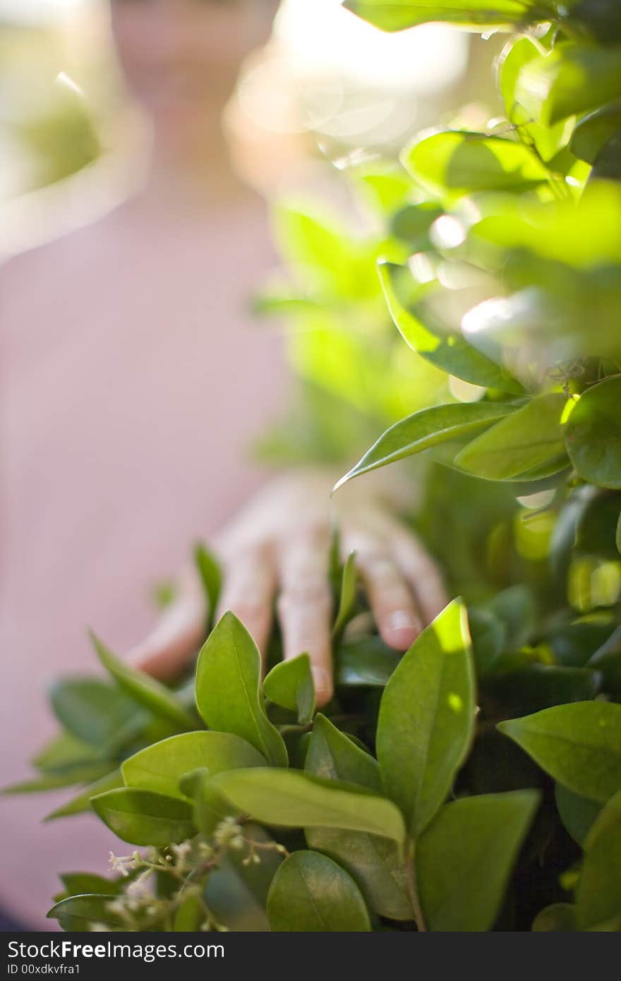 Young woman dressed in pink standing and touching plant with hand. Young woman dressed in pink standing and touching plant with hand