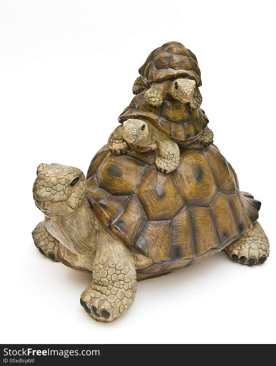 Three tortoises