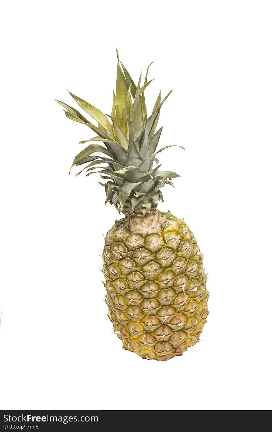 Pineapple