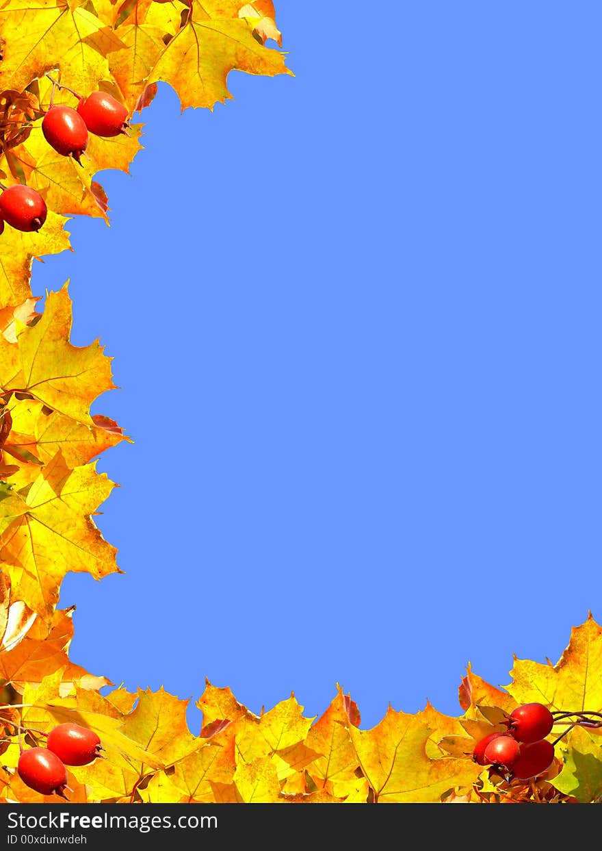 Autumn Frame