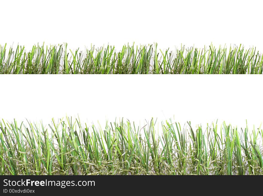 High abd low green grass over white background