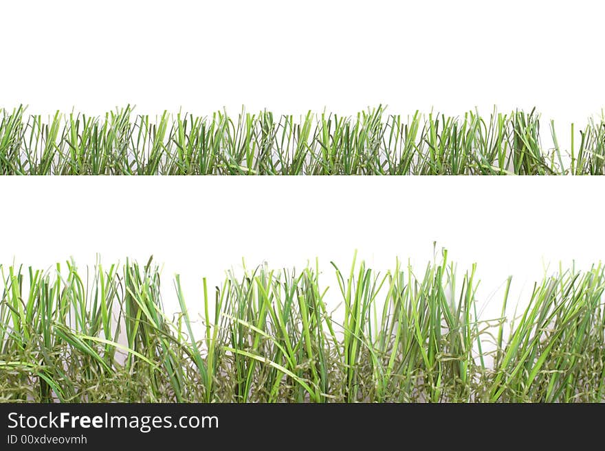 High abd low green grass over white background