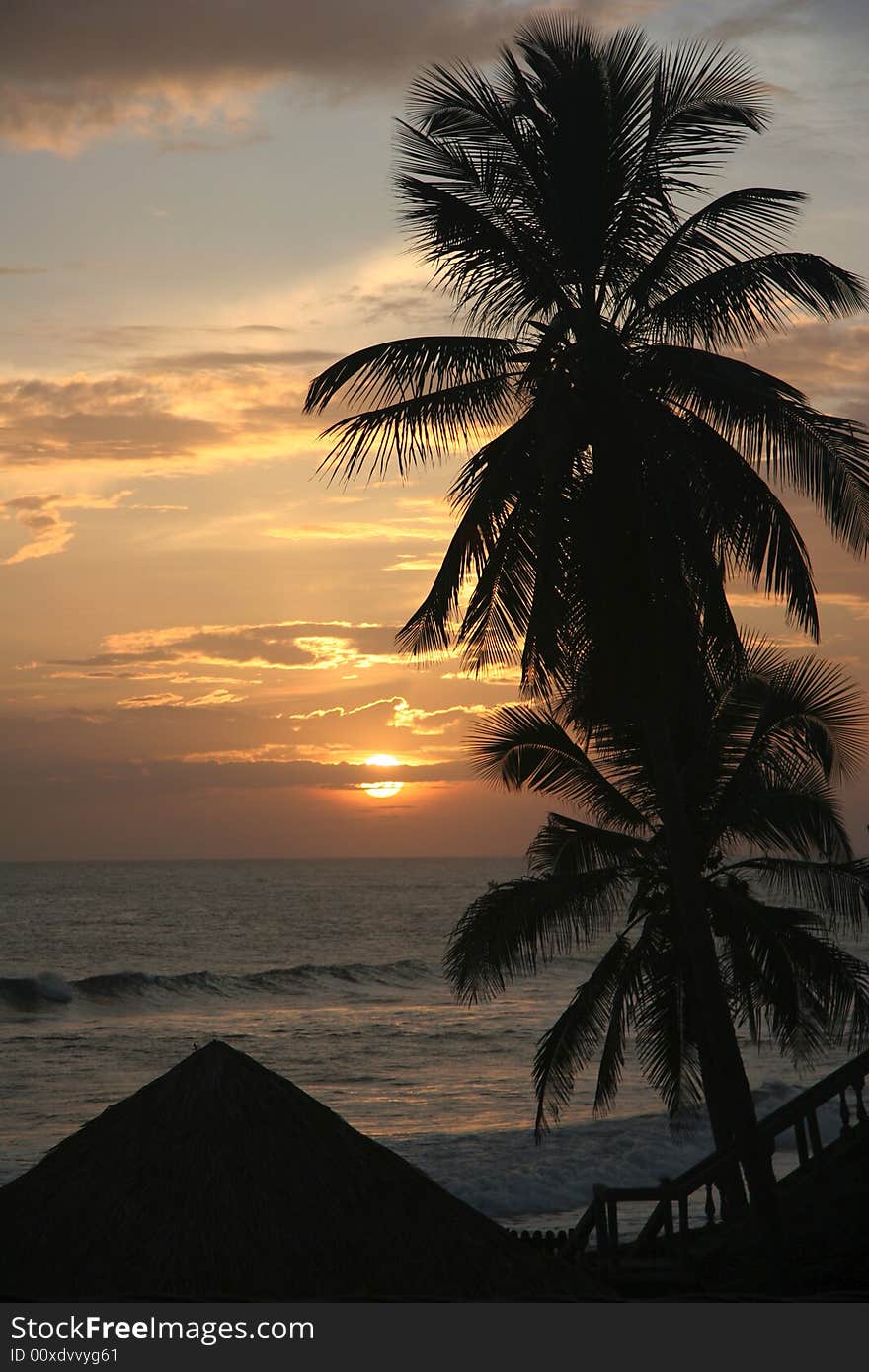 Silhouette of  palm on a famous beach Poneloya. Pacific ocean. Nicaragua. Silhouette of  palm on a famous beach Poneloya. Pacific ocean. Nicaragua