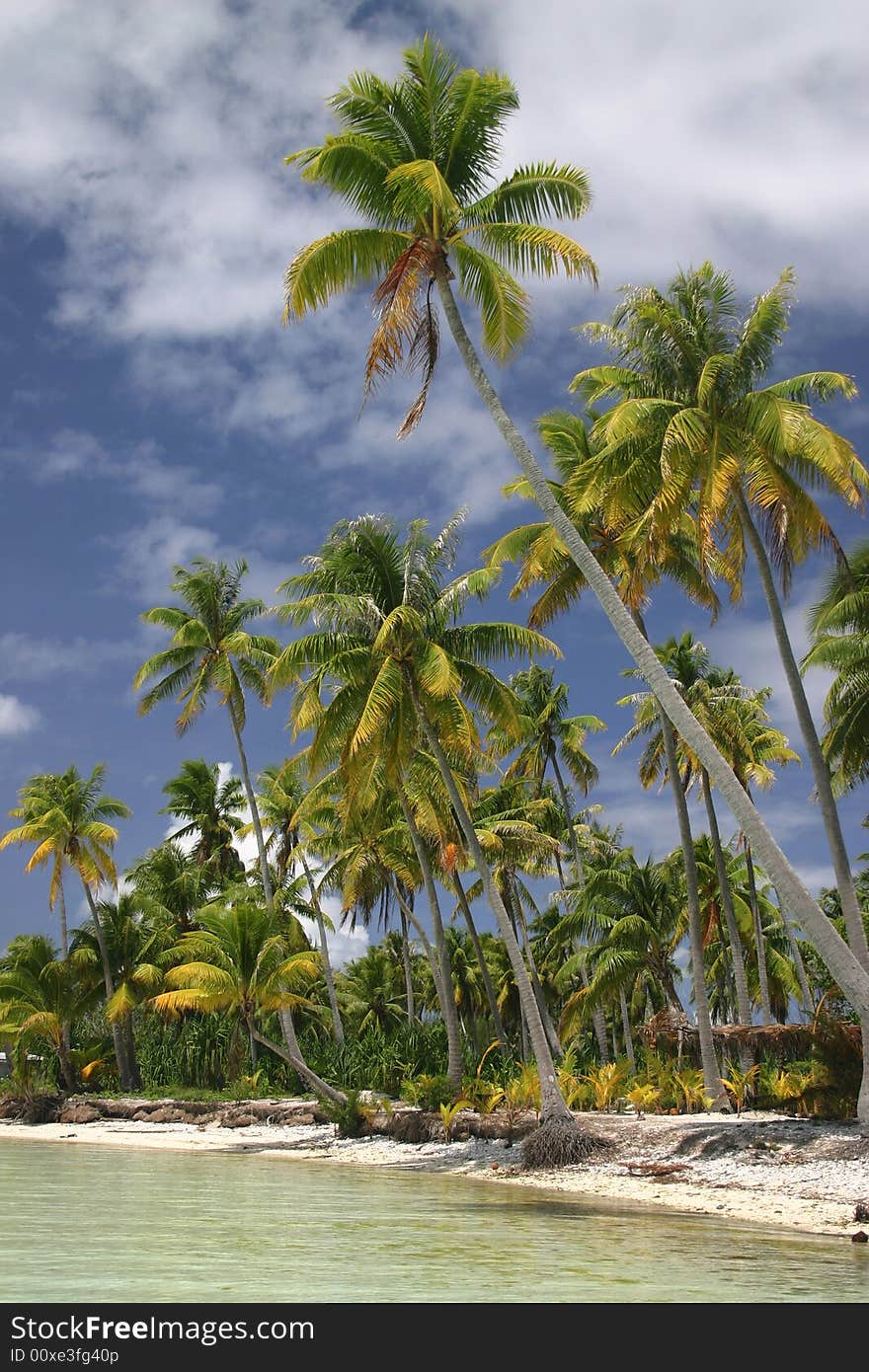 Beautiful beach on famous travel destination Pacific Island Bora Bora. French Polynesia