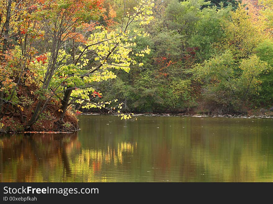 Fall foliage reflecting on small lake. Fall foliage reflecting on small lake