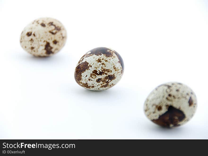 Three quails egg on white background with blur except middle. Three quails egg on white background with blur except middle