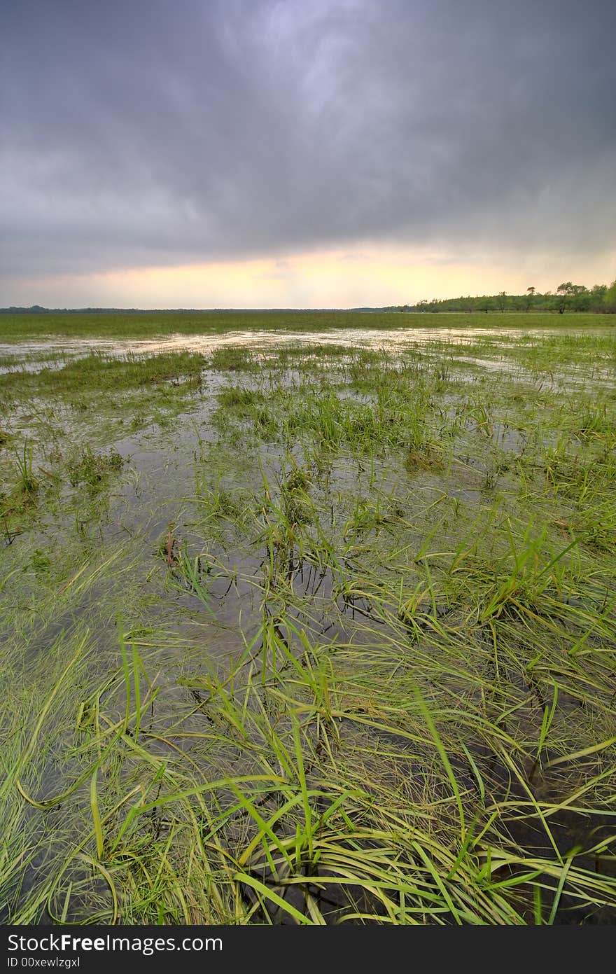 Swamp With Stormy Clouds