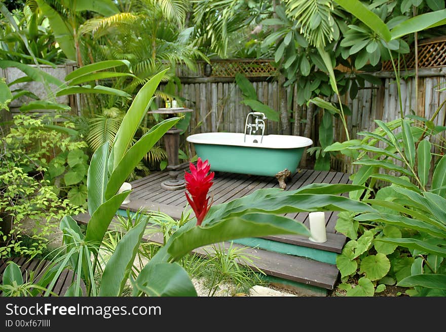 Bath tub in the rainforest