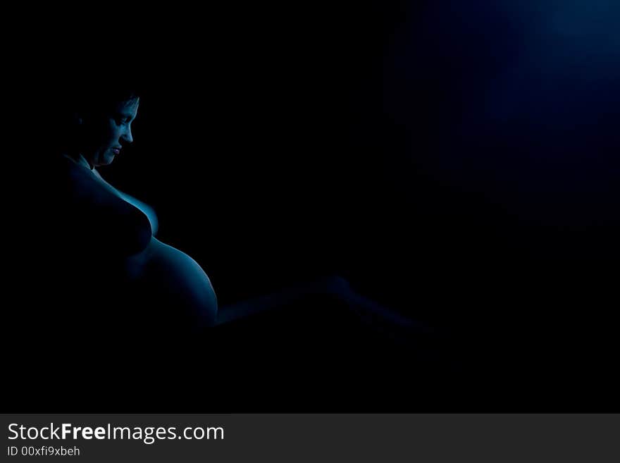 Artistical View Of A Pregnant Woman