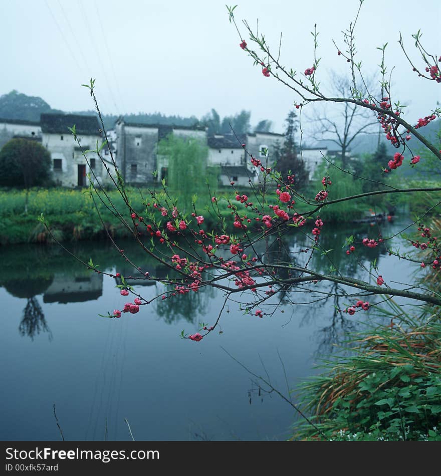 Flowers upon a river