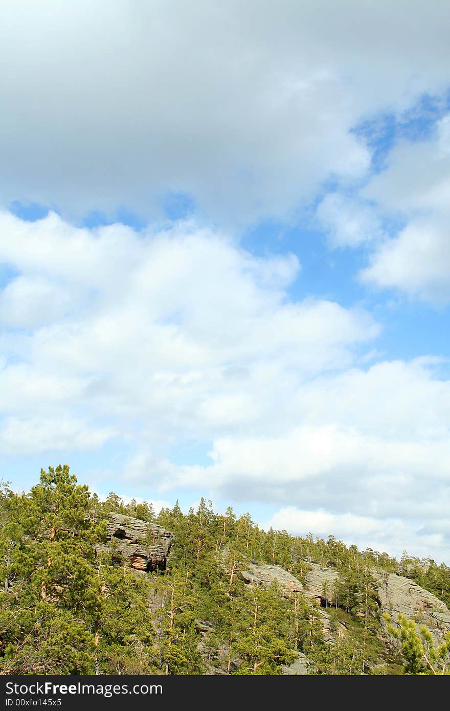 Landscape of green forest with bright blue sky