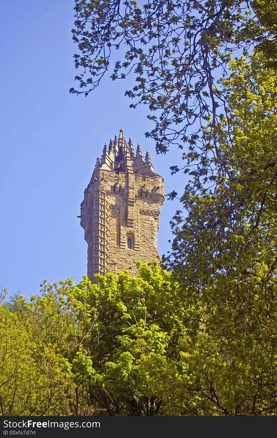 Scottish tower and the tree