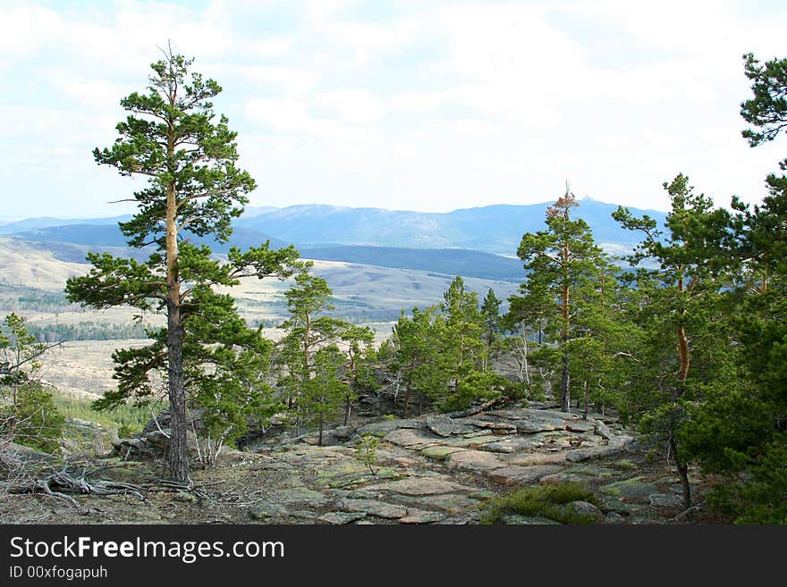 Landscape of mountain and forest with bright sky