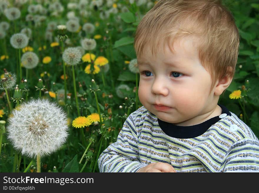 Child with the dandelion