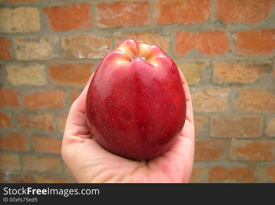 Big red apple on womans hand and bricks background. Big red apple on womans hand and bricks background