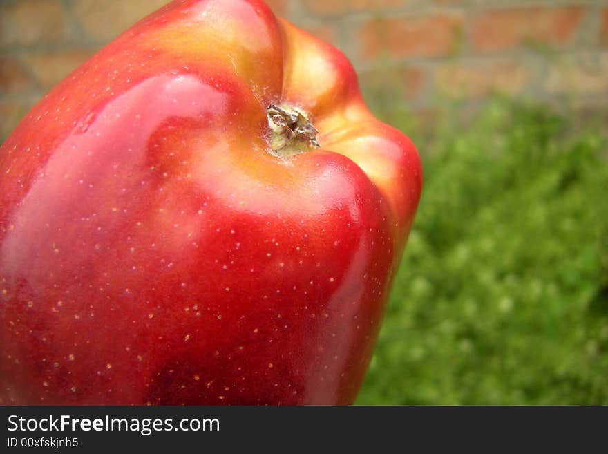 Big red apple - green grass background