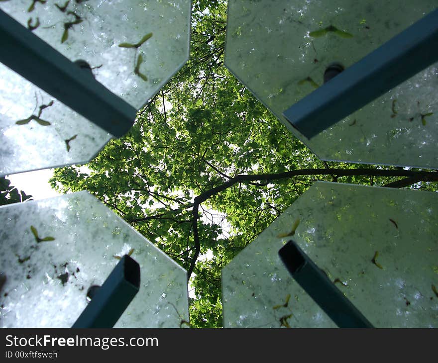 A shot of sky and trees through the glass construction. A shot of sky and trees through the glass construction