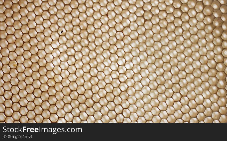 Honey texture