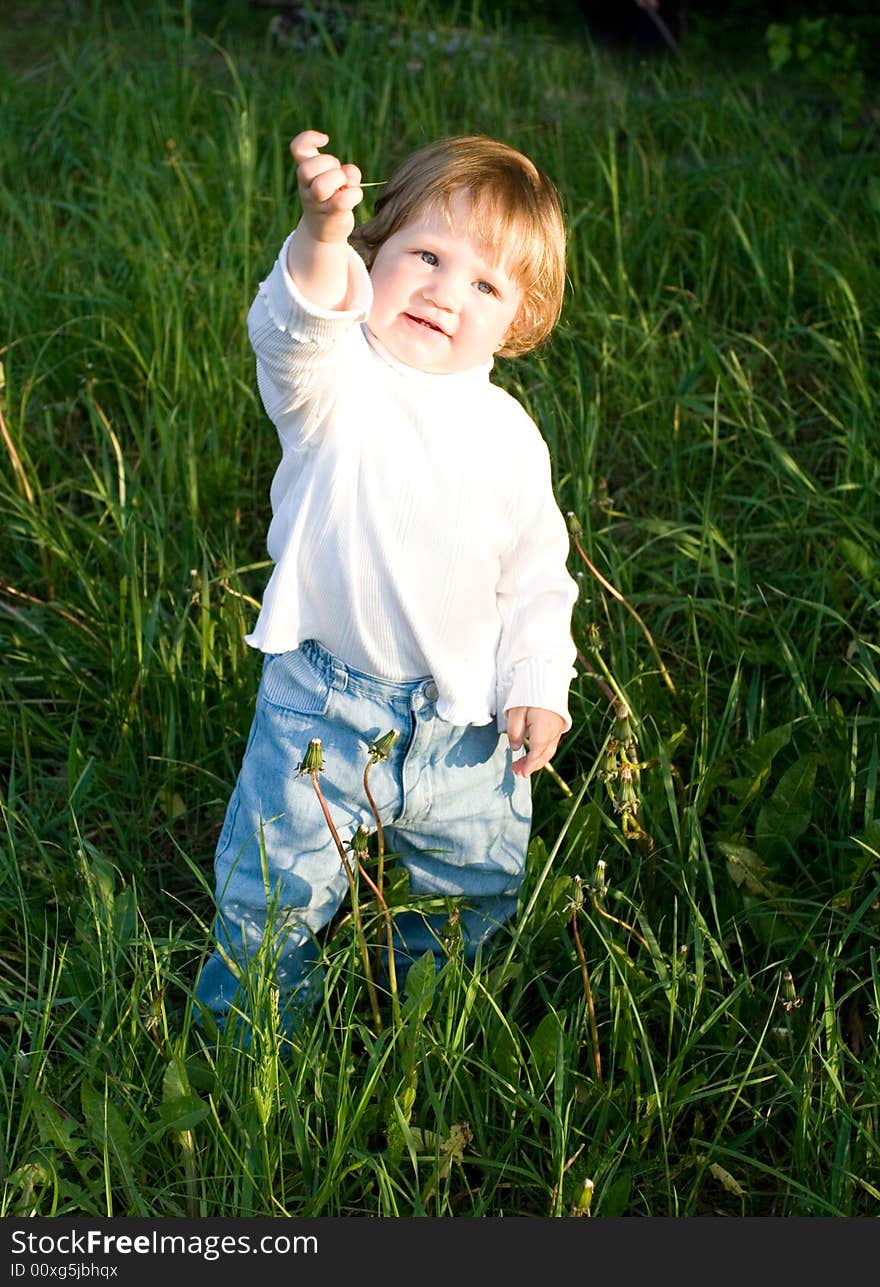 Little girl in a meadow