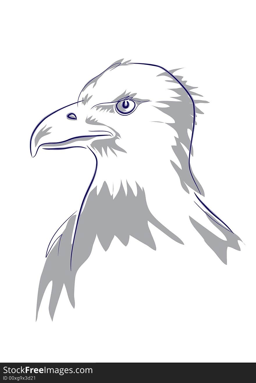 Eagles head - comp.drawing by tablet, used two colours, lines and shadows