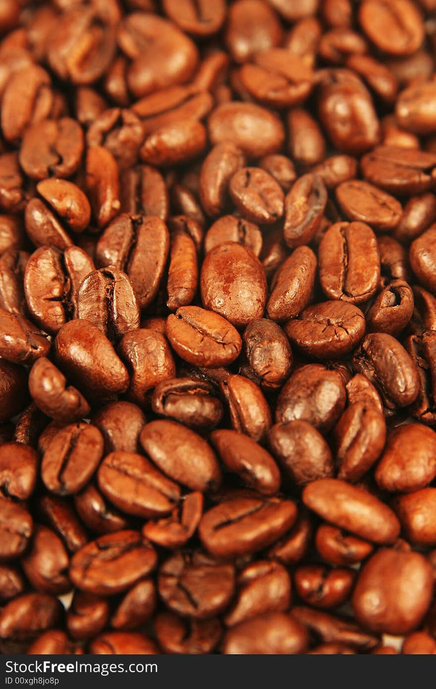 Coffee Beans